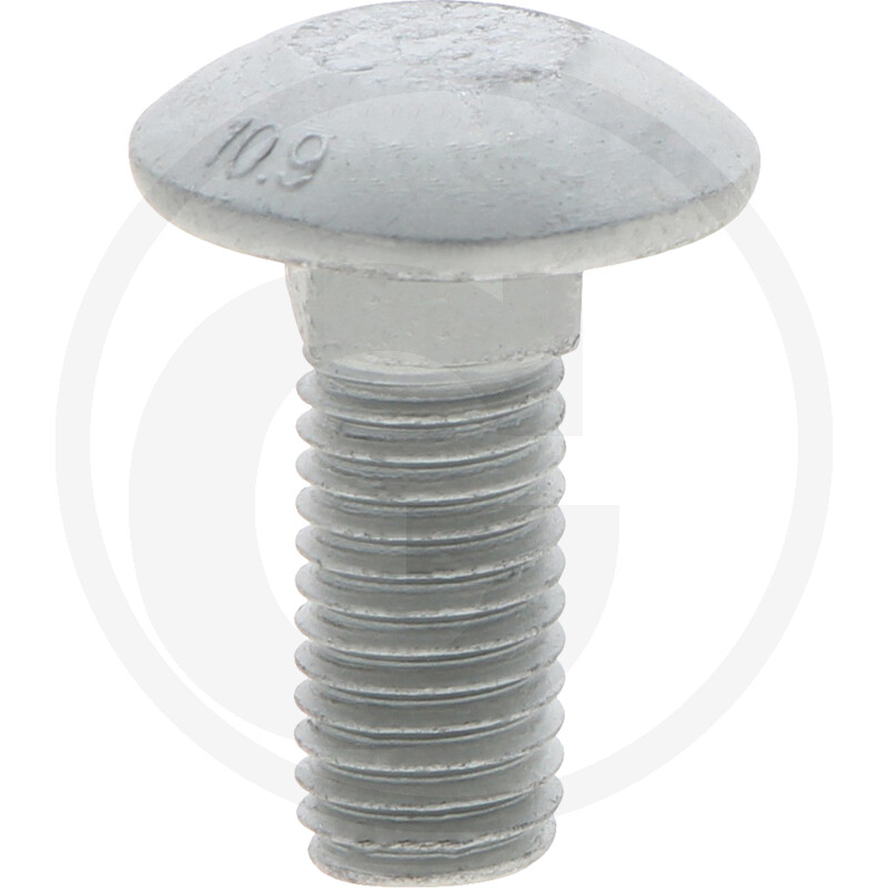 Polt M12x30 10.9 (nelikant, peitepea)