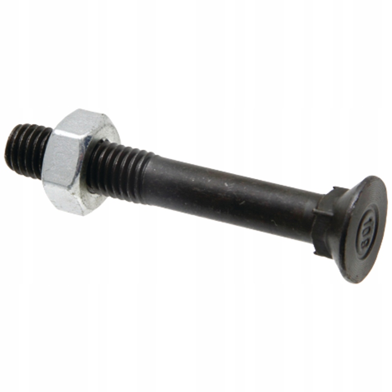 Polt+mutter M10x70 10.9 (nelikant)