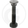 Adrapolt+mutter M12x55 12.9