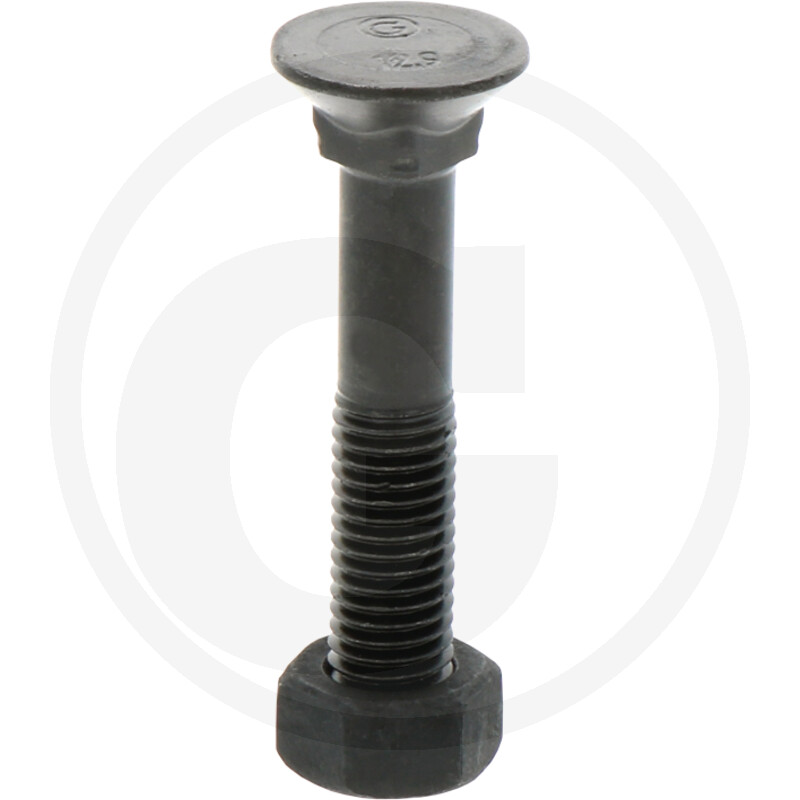 Adrapolt+mutter M12x55 12.9