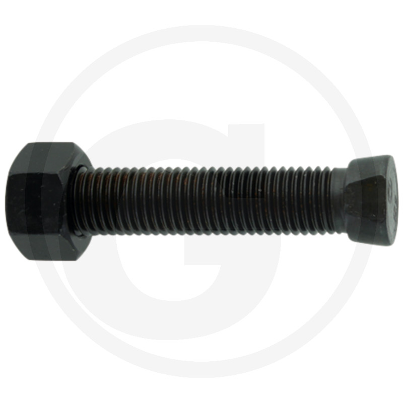 Terapolt + mutter  M16x85 12.9