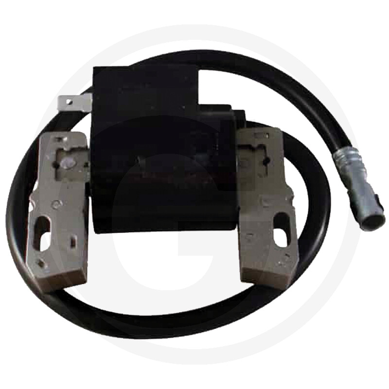 Süütepool Briggs & Stratton 795315