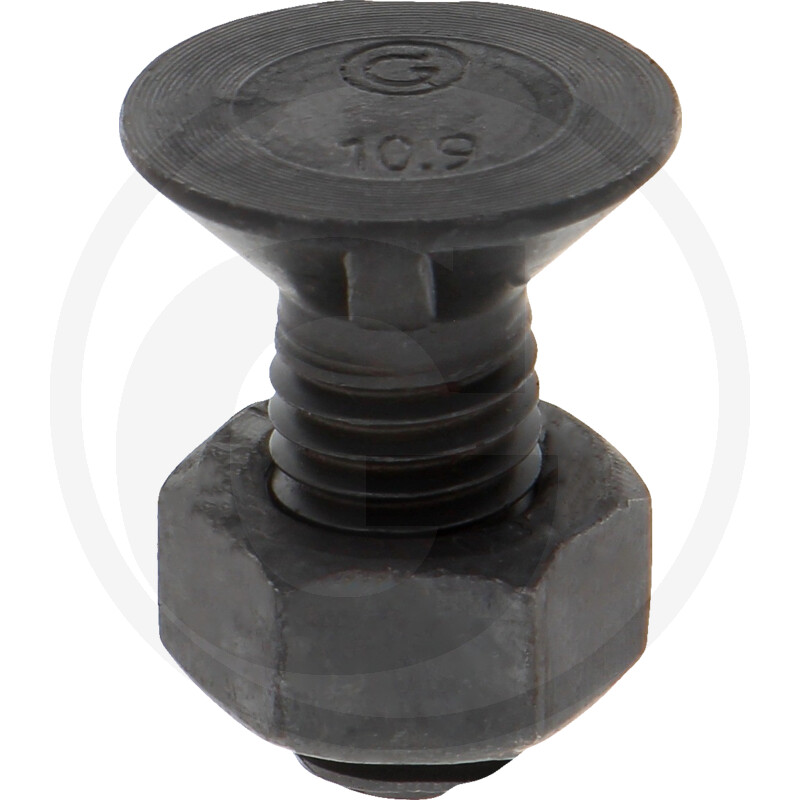 Terapolt + mutter M12x30 10.0 (liblik 24mm)