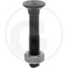 Adrapolt+mutter M12x70 12,9 (nelikant)