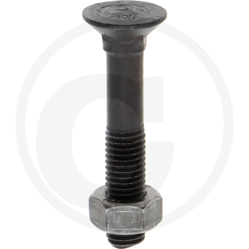 Adrapolt+mutter M12x70 12,9 (nelikant)