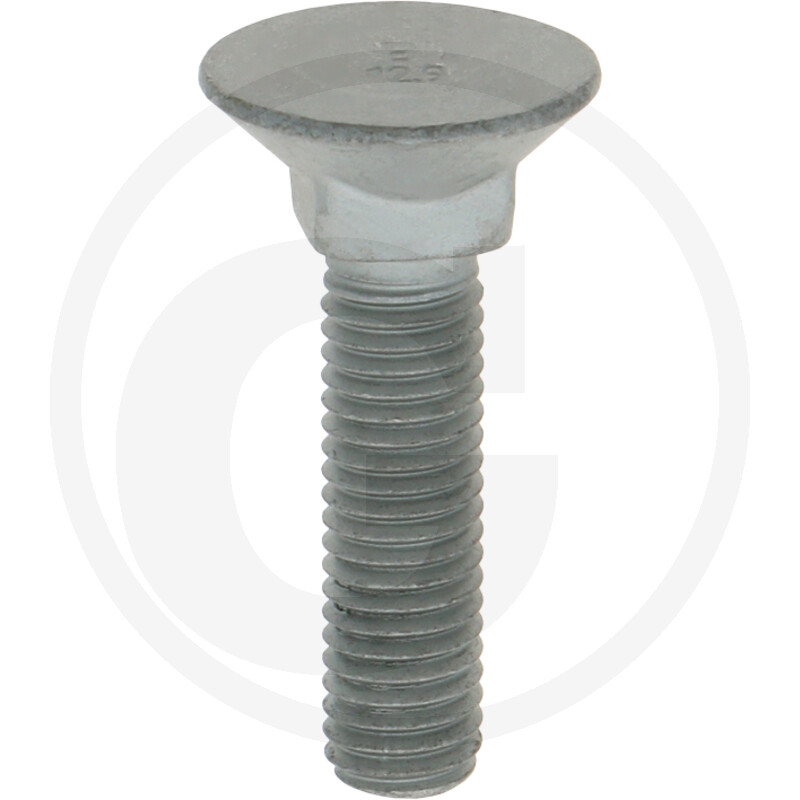 Polt 00311506 M10x45 12.9 HORSCH
