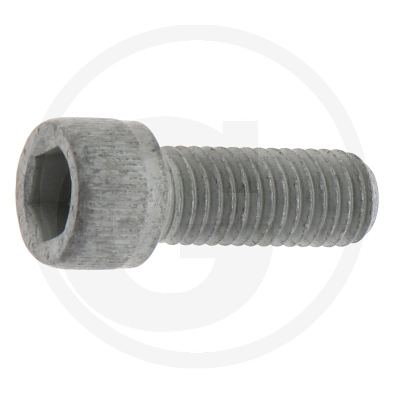 Polt M12x30 12.9 Horsch 0370297 GP