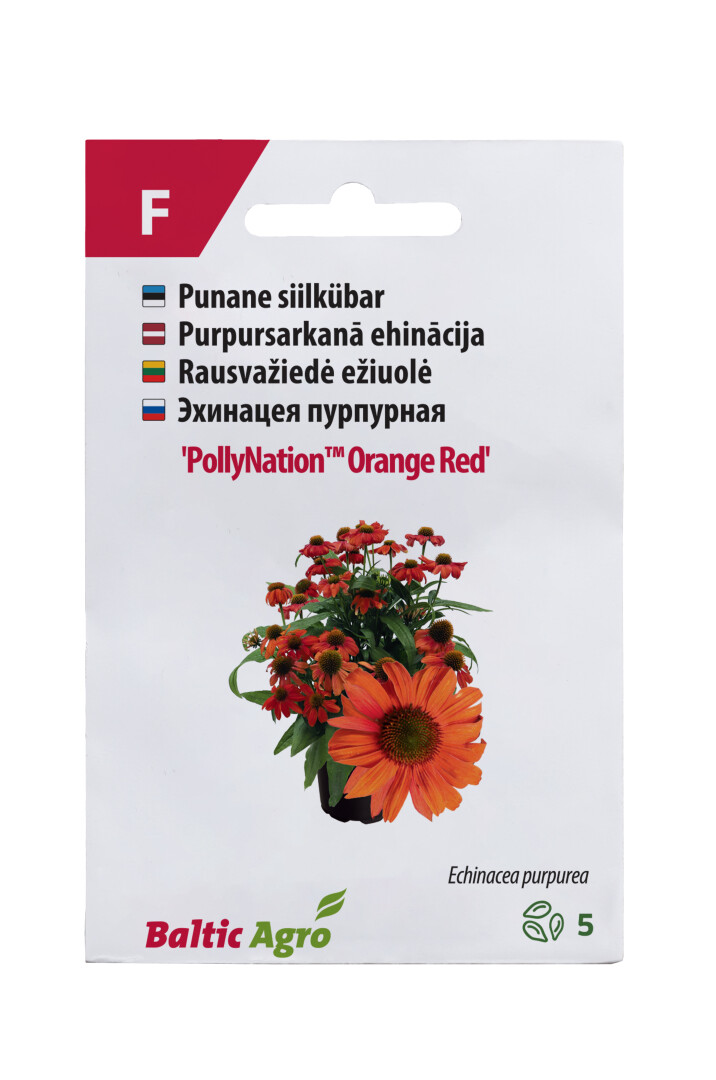 Siilkübar tumeoranž ‘PollyNation Orange Red’