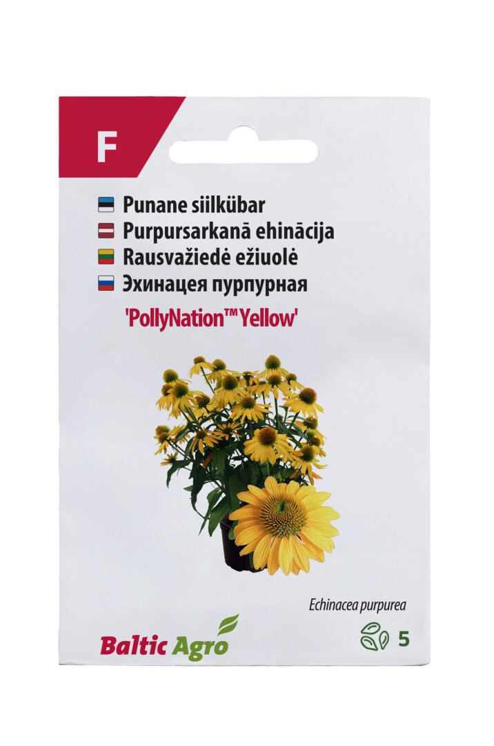 Siilkübar kollane 'PollyNation™ Yellow ' 5s